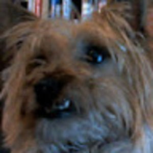 Meet your Posher, Kaylei